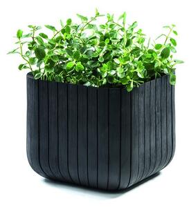 Plastikowa doniczka Cube – Keter