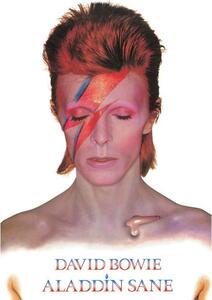 Plakat, Obraz David Bowie - Aladdin Sane, (61 x 91.5 cm)