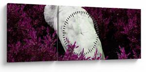 Obraz - Biały paw (z zegarem) (90x30 cm)