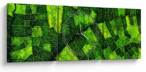 Obraz - Detal liścia (z zegarem) (90x30 cm)