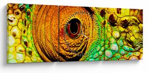 Obraz - Kameleon (z zegarem) (90x30 cm)