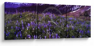 Obraz - Wulkan i kwiaty (z zegarem) (90x30 cm)