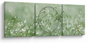 Obraz - Rosa na trawie (z zegarem) (90x30 cm)