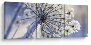 Obraz - Zamarznięty kwiat (z zegarem) (90x30 cm)