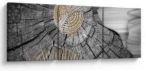 Obraz - Pień drzewa w kolażu (z zegarem) (90x30 cm)