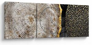 Obraz - Pień drzewa w kolażu 2 (z zegarem) (90x30 cm)