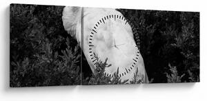 Obraz - Paw, czarno - biały (z zegarem) (90x30 cm)