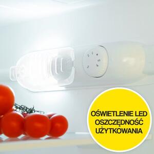 Lodówka AMICA FK2515.4UTX(E) 170cm Inox