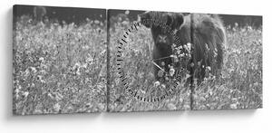 Obraz - Szkocka krowa 5, czarno - biały (z zegarem) (90x30 cm)