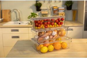 Organizer do lodówki EASYFORM Tall Maxi z pokrywą 7.4 L + 2 x 3.8 (3 szt.)