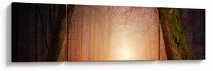 Obraz jesiennego lasu we mgle (170x50 cm)