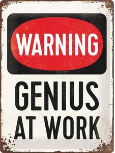 Metalowa tabliczka Warning - Genius at Work, (30 x 40 cm)