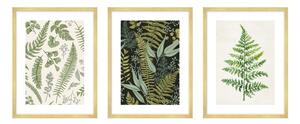 Obrazy zestaw 3 szt. 30x40 cm Fern – knor