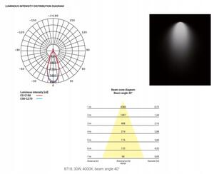Oświetlenie Komercyjne Punktowa Lampa Led Podtynkowa Cl Dia Led 30W 4000K 8718 Nowodvorski