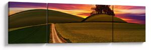 Obraz pola z zachodem słońca (170x50 cm)