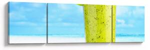 Zdjęcie - smoothie z kiwi (170x50 cm)