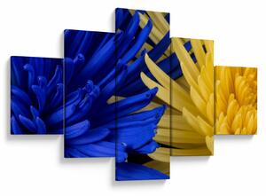 Obraz - szczegóły kwiatów (125x70 cm)