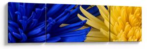 Obraz - szczegóły kwiatów (170x50 cm)