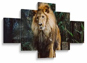 Obraz lwa w naturze (125x70 cm)