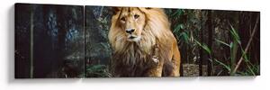 Obraz lwa w naturze (170x50 cm)