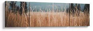 Obraz - szczegół łąki (170x50 cm)