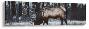 Obraz - jeleń zimą (170x50 cm)