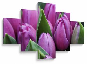 Obraz - kwiaty tulipanów (125x70 cm)