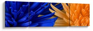Szczegółowy obraz kwiatów (170x50 cm)