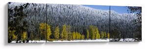 Obraz - ośnieżone góry zimą (170x50 cm)