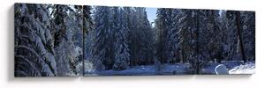 Obraz śnieżnego lasu (170x50 cm)