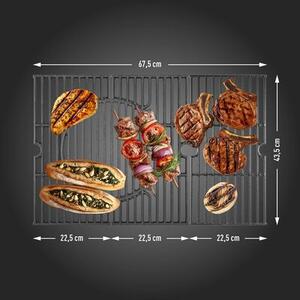 Grill ogrodowy gazowy BROWIN dragON BBQ G201 331201 18.8 kW 67,5 x 43,5 cm