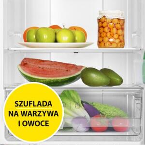 Lodówka AMICA FK299.2FI (E) No Frost 181cm Czarna Inox Podajnik wody