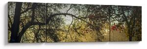 Obraz wschodu słońca (170x50 cm)
