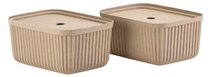 Koszyki zestaw 2 szt. 32x23x20.5 cm Pulp – Zone