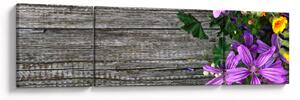 Obraz - kwiaty polne (170x50 cm)