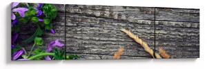 Obraz - kwiaty polne (170x50 cm)
