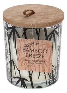 Świeczka zapachowa w naczyniu szklanym, Bambusowa bryza