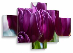Obraz tulipanów (125x70 cm)
