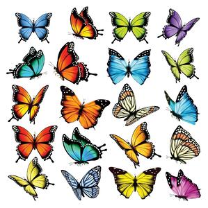 Dekoracja samoprzylepna Butterflies, 30 x 30 cm