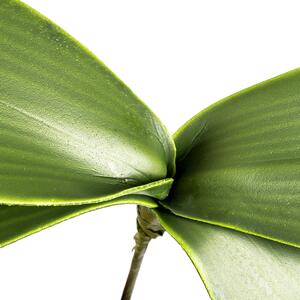 Sztuczny Liść orchidei, wys. 20 cm