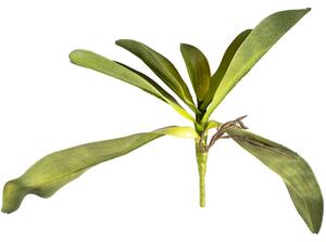 Sztuczny Liść orchidei z korzeniami, 30 cm