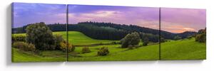 Obraz łąki (170x50 cm)