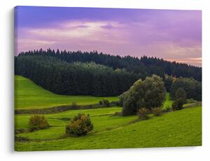 Obraz łąki (70x50 cm)