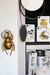 Kare Dekoracja Ścienna Atlas Beetle Złota