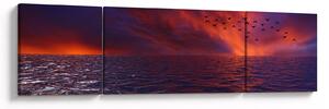 Obraz morza z ptakami (170x50 cm)