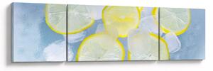 Obraz cytryn w lodzie (170x50 cm)