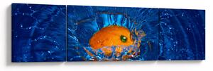 Obraz - pomarańcza w wodzie (170x50 cm)
