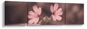 Obraz kwiatu róży (170x50 cm)