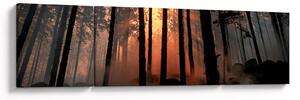 Obraz ciemnego lasu (170x50 cm)