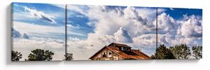 Obraz pola słoneczników (170x50 cm)